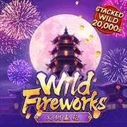 Wild firework